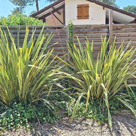 Detente Et Nature Maisonnette Conviviale Pour 6 Personnes Dans Un Village De Prázdninový dům *