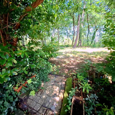 Detente Et Nature Maisonnette Conviviale Pour 6 Personnes Dans Un Village De Gujan-Mestras